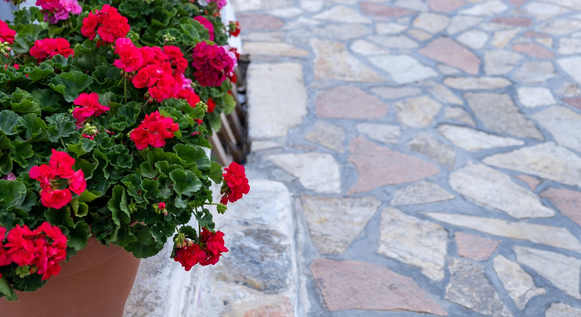 Keep Efflorescence at Bay