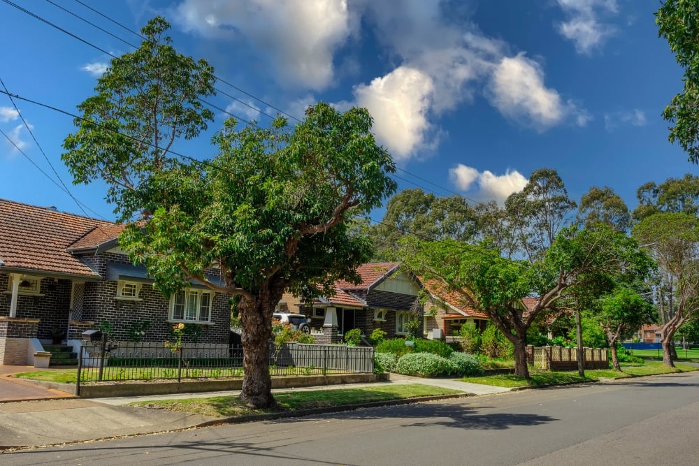 Suburban residential street with houses, footpaths, and vehicle crossovers leading from the road.