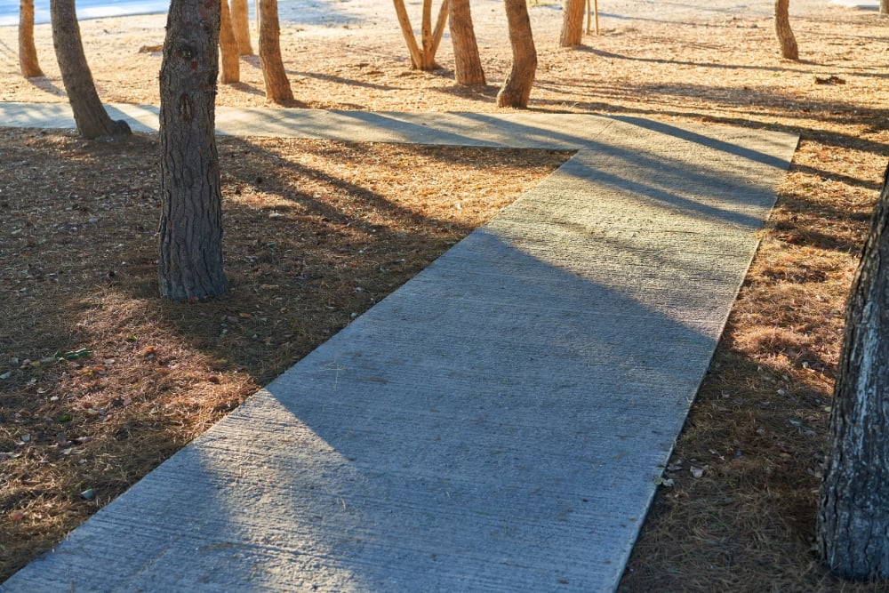 A textured concrete footpath zigzags through a grove of trees, casting sharp geometric shadows on the surrounding ground covered in dry pine needles.