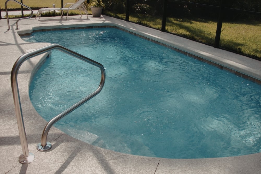 A curved, blue-water backyard swimming pool featuring a textured light-coloured concrete deck, stainless steel handrails, and a black mesh safety.