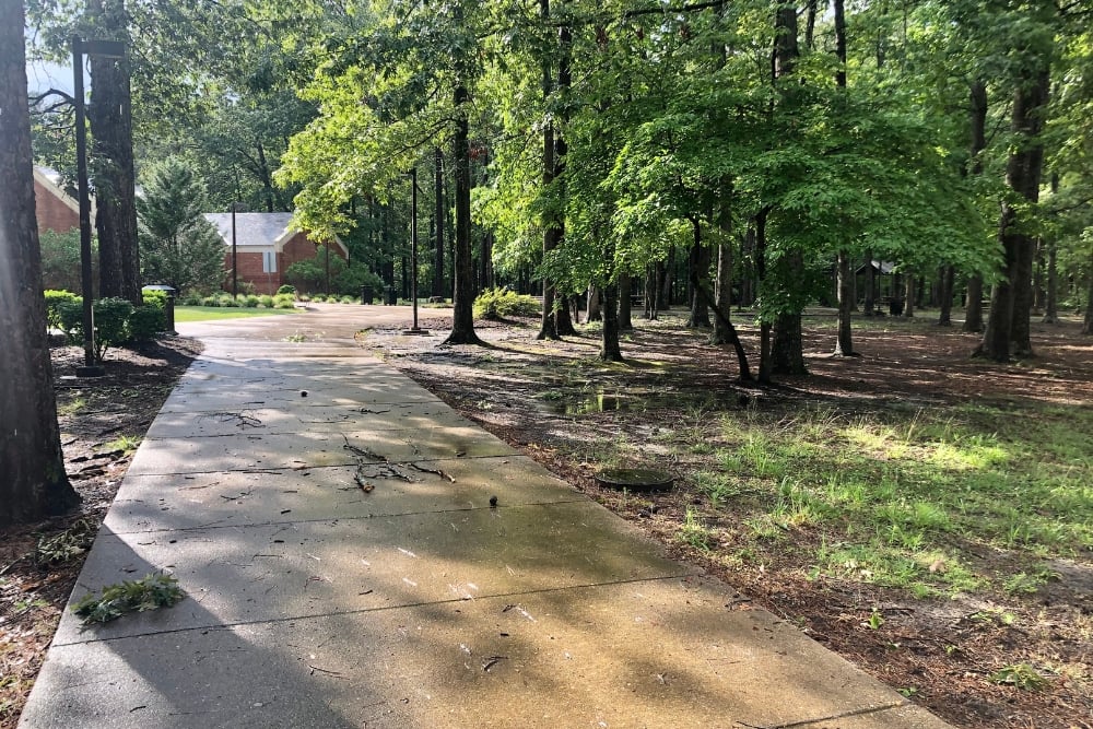 A wet, winding concrete pathway covered in fallen twigs and leaves after a rain, bordered by lush green trees and a wooded area.